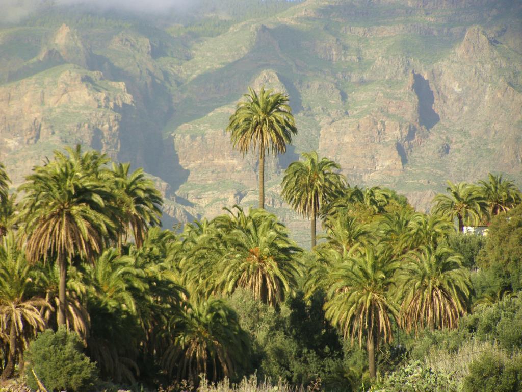 Las Casas De La Rueda - El Patio Santa Lucia Dış mekan fotoğraf